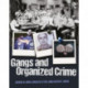 Gangs and Organized Crime