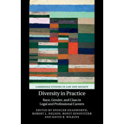 Diversity in Practice: Race, Gender, and Class in Legal and Professional Careers