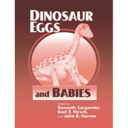 Dinosaur Eggs and Babies