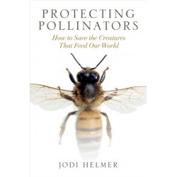 Protecting Pollinators: How to Save the Creatures That Feed Our World