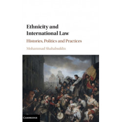 Ethnicity and International Law: Histories, Politics and Practices