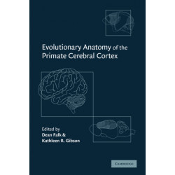 Evolutionary Anatomy of the Primate Cerebral Cortex