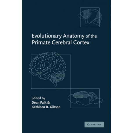 Evolutionary Anatomy of the Primate Cerebral Cortex