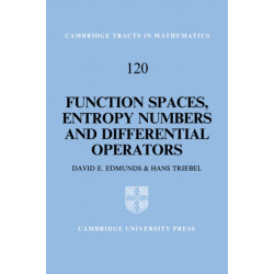 Function Spaces, Entropy Numbers, Differential Operators