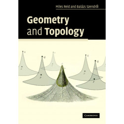 Geometry and Topology