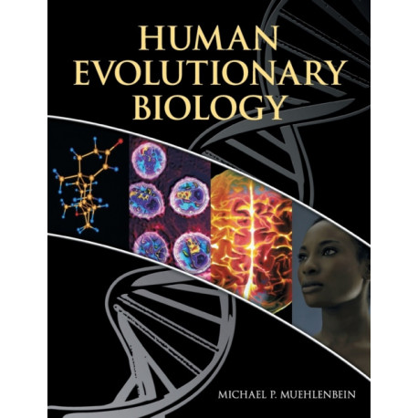 Human Evolutionary Biology