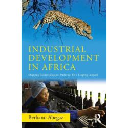 Industrial Development in Africa: Mapping Industrialization Pathways for a Leaping Leopard