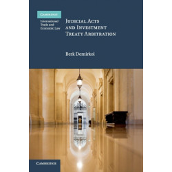 Judicial Acts and Investment Treaty Arbitration