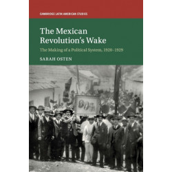 The Mexican Revolution's Wake: The Making of a Political System, 1920–1929