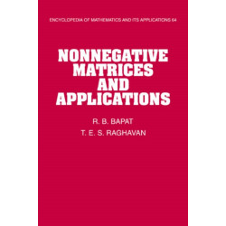Nonnegative Matrices and Applications