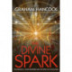 The Divine Spark: Psychedelics, Consciousness and the Birth of Civilization