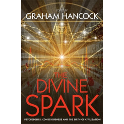 The Divine Spark: Psychedelics, Consciousness and the Birth of Civilization
