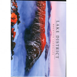 The Contemporary Television Series