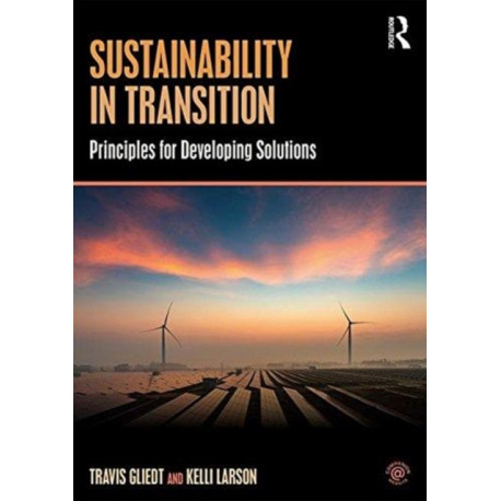 Sustainability in Transition: Principles for Developing Solutions