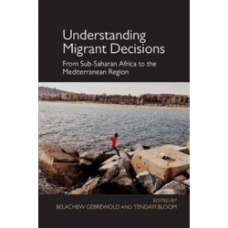 Understanding Migrant Decisions: From Sub-Saharan Africa to the Mediterranean Region