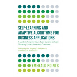 Self-Learning and Adaptive Algorithms for Business Applications: A Guide to Adaptive Neuro-Fuzzy Systems for Fuzzy Clustering Under Uncertainty Conditions