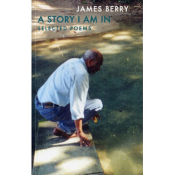 A Story I Am In: Selected Poems