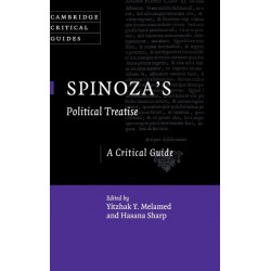 Spinoza's Political Treatise: A Critical Guide