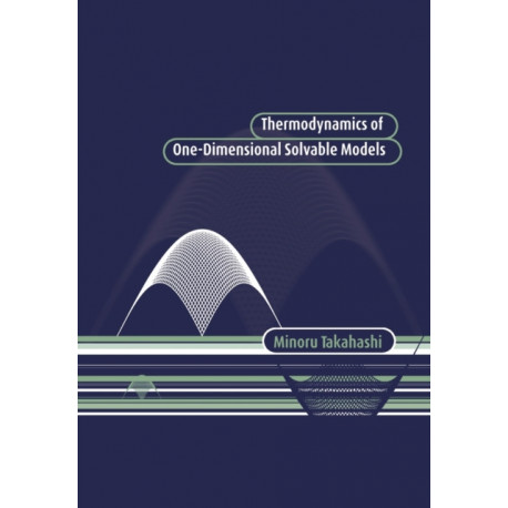 Thermodynamics of One-Dimensional Solvable Models