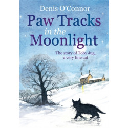 Paw Tracks in the Moonlight