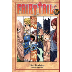 Fairy Tail 18