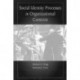 Social Identity Processes in Organizational Contexts