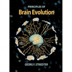 Principles of Brain Evolution