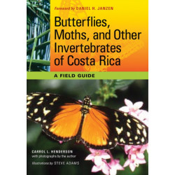 Butterflies, Moths, and Other Invertebrates of Costa Rica: A Field Guide