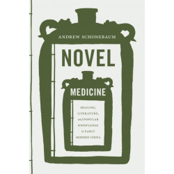 Novel Medicine: Healing, Literature, and Popular Knowledge in Early Modern China