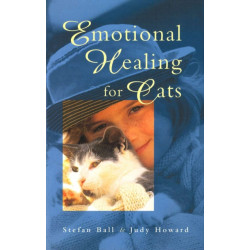 Emotional Healing For Cats