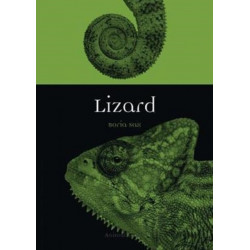 Lizard