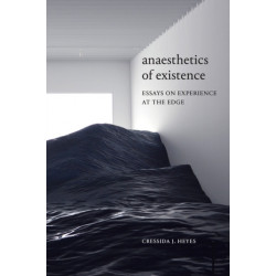 Anaesthetics of Existence: Essays on Experience at the Edge