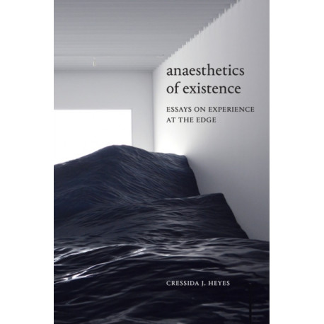Anaesthetics of Existence: Essays on Experience at the Edge