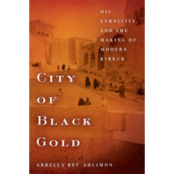 City of Black Gold: Oil, Ethnicity, and the Making of Modern Kirkuk
