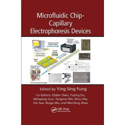 Microfluidic Chip-Capillary Electrophoresis Devices