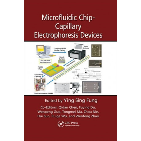 Microfluidic Chip-Capillary Electrophoresis Devices