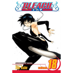 Bleach, Vol. 18: The Deathberry Returns