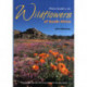 Photo guide to the wildflowers of South Africa