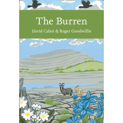 The Burren