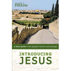 Introducing Jesus: A Short Guide to the Gospels' History and Message