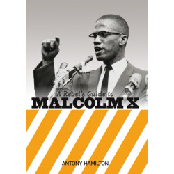 A Rebel's Guide to Malcolm X