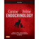 Canine and Feline Endocrinology