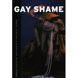 Gay Shame
