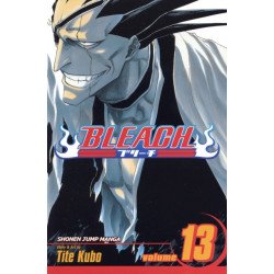 Bleach, Vol. 13: The Undead