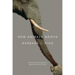 How Animals Grieve