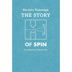 The Story of Spin
