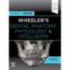 Wheeler's Dental Anatomy, Physiology and Occlusion: Expert Consult