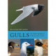 Gulls of the World: A Photographic Guide
