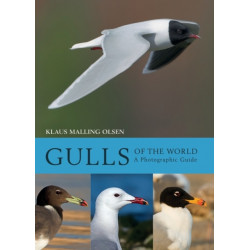 Gulls of the World: A Photographic Guide
