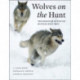 Wolves on the Hunt: The Behavior of Wolves Hunting Wild Prey